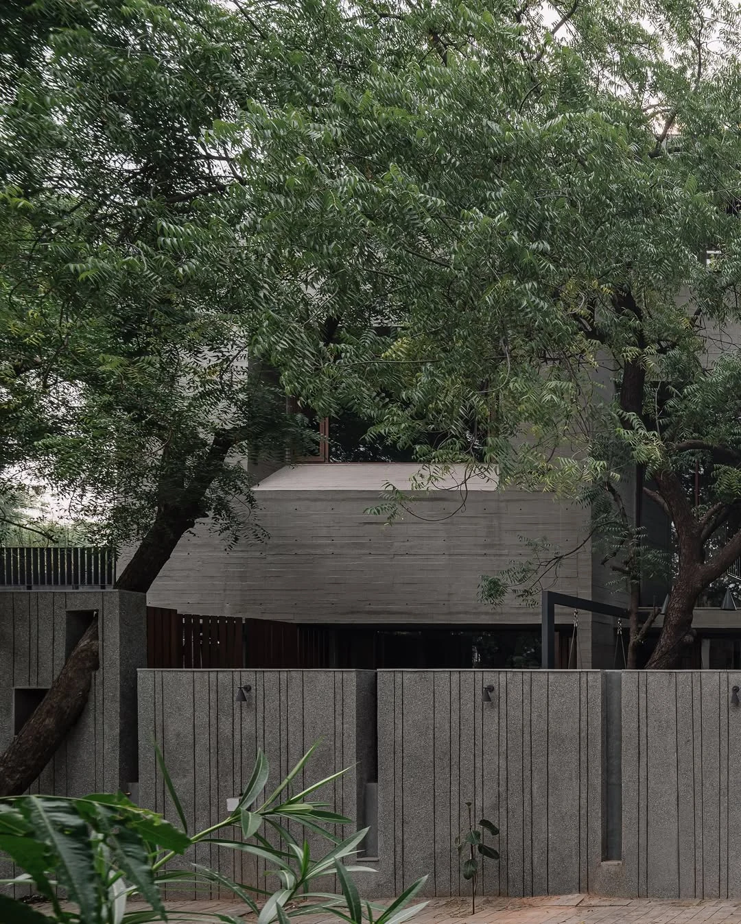 Concrete and stone framed by green foliage